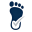 footfitguide.com favicon